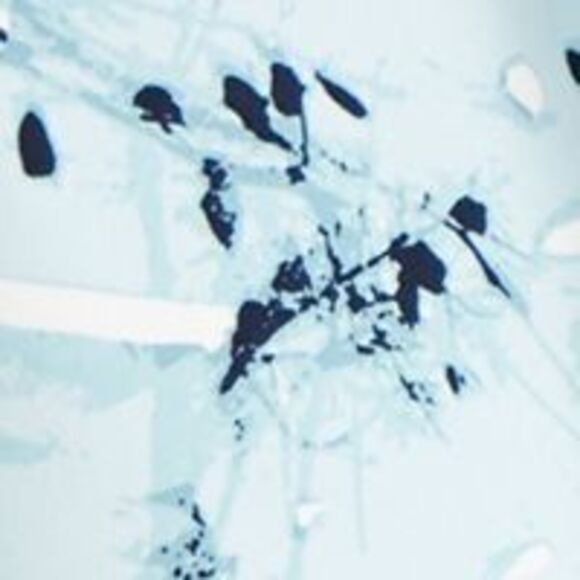 ALFANI Womens Midi Wear To Work A-Line Skirt - Picture 4 of 4